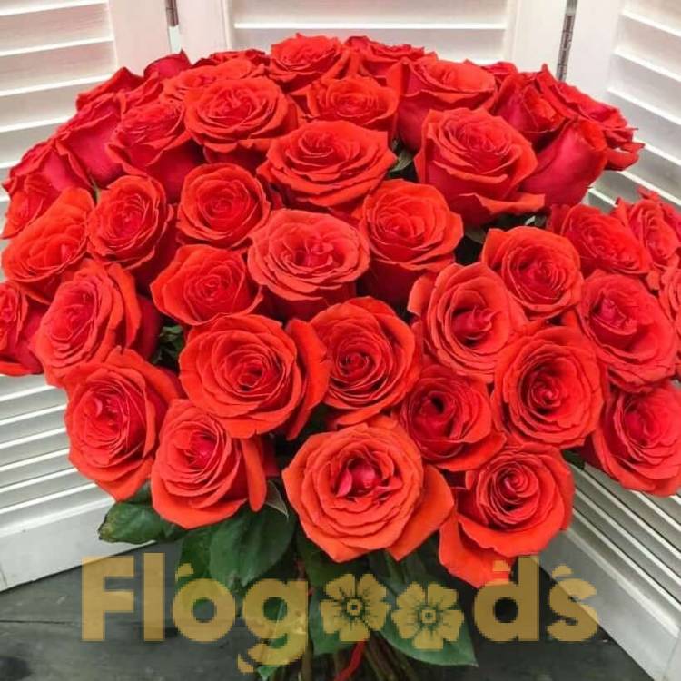 51 красная роза за 14 970 руб.